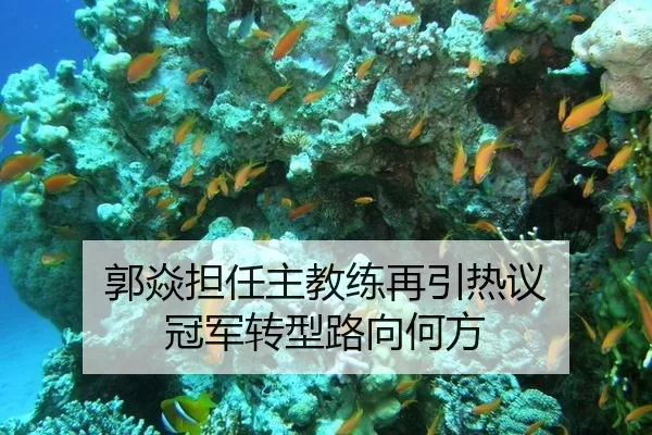 郭焱担任主教练再引热议 冠军转型路向何方
